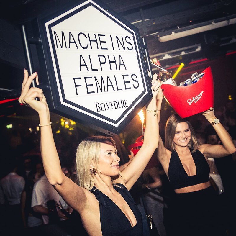 Saturday Again // 21.12.24